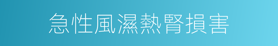 急性風濕熱腎損害的同義詞