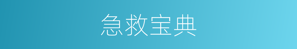 急救宝典的同义词