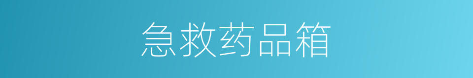 急救药品箱的同义词