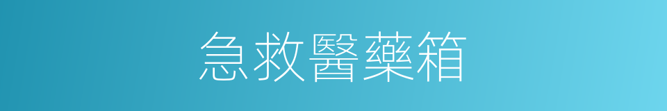 急救醫藥箱的同義詞