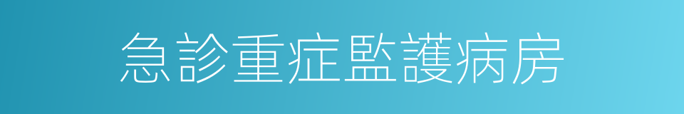 急診重症監護病房的同義詞