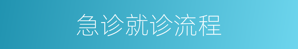 急诊就诊流程的同义词