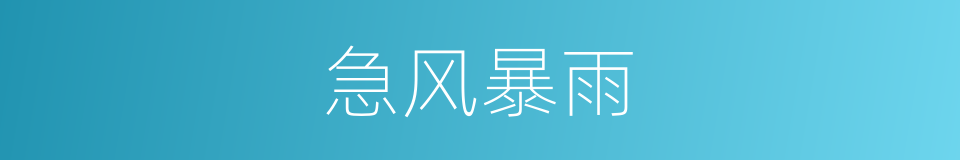 急风暴雨的意思