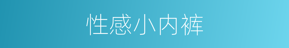 性感小内裤的同义词