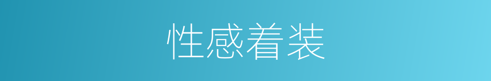 性感着装的同义词