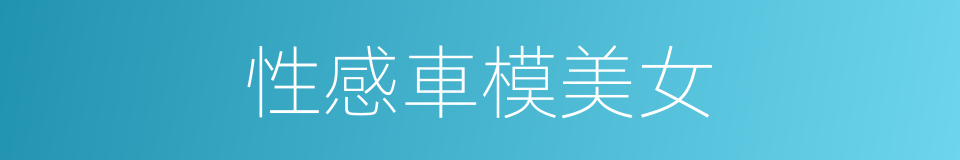 性感車模美女的同義詞