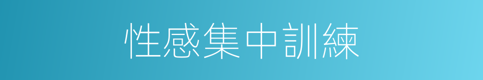 性感集中訓練的同義詞