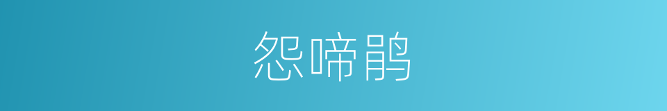 怨啼鹃的意思