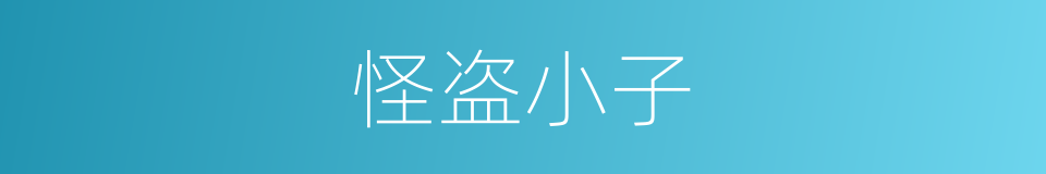怪盗小子的同义词