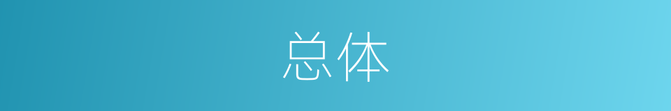 总体的意思