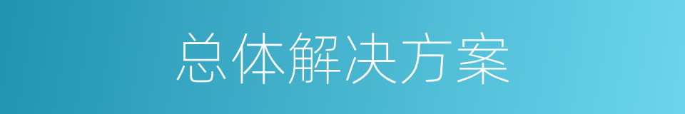 总体解决方案的同义词