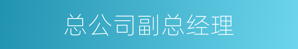 总公司副总经理的同义词