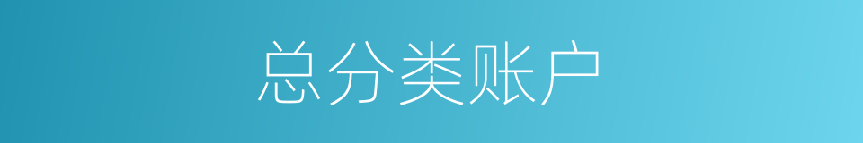 总分类账户的同义词