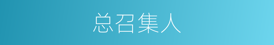 总召集人的同义词