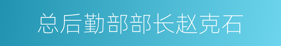 总后勤部部长赵克石的同义词