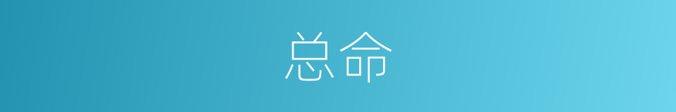 总命的同义词