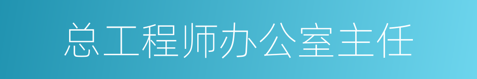 总工程师办公室主任的同义词