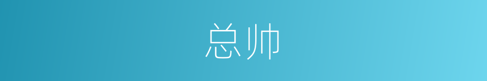 总帅的意思