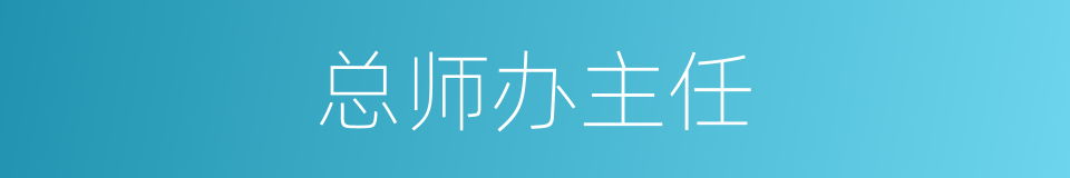 总师办主任的同义词