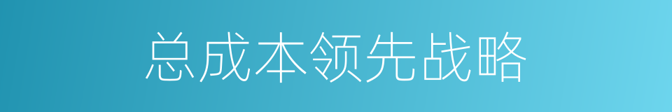 总成本领先战略的同义词