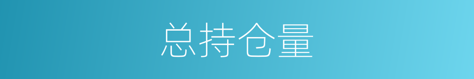 总持仓量的同义词
