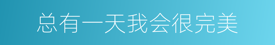 总有一天我会很完美的同义词