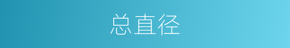 总直径的同义词