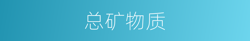 总矿物质的同义词