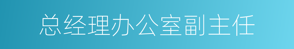 总经理办公室副主任的同义词