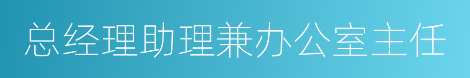 总经理助理兼办公室主任的同义词