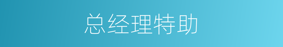 总经理特助的同义词
