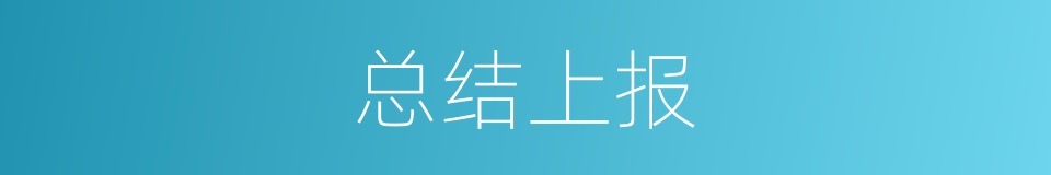 总结上报的同义词