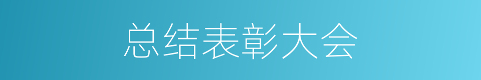 总结表彰大会的同义词