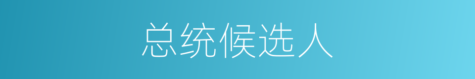 总统候选人的同义词