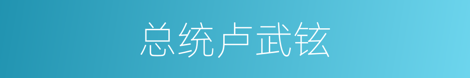 总统卢武铉的同义词