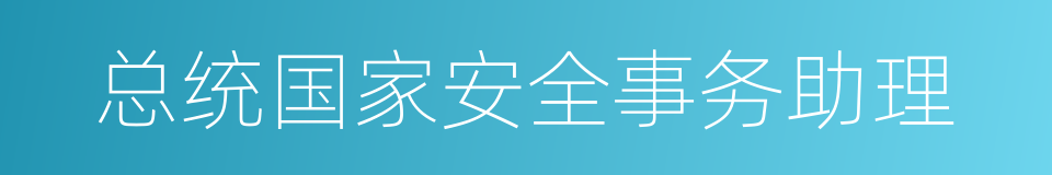 总统国家安全事务助理的同义词