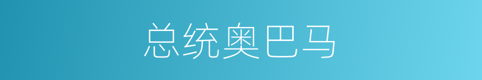 总统奥巴马的同义词