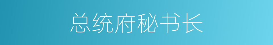 总统府秘书长的同义词