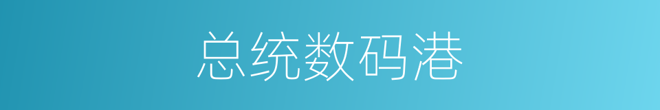总统数码港的同义词