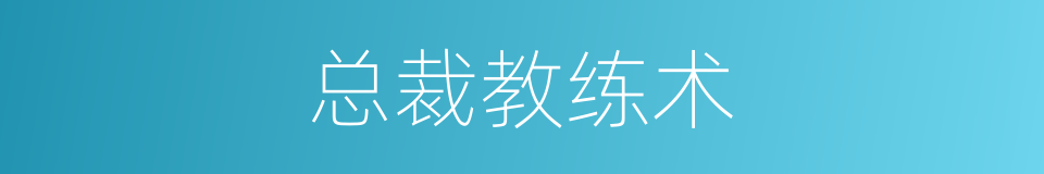 总裁教练术的同义词