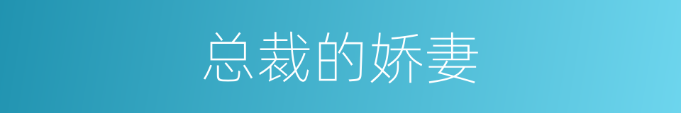 总裁的娇妻的同义词