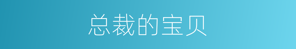 总裁的宝贝的同义词