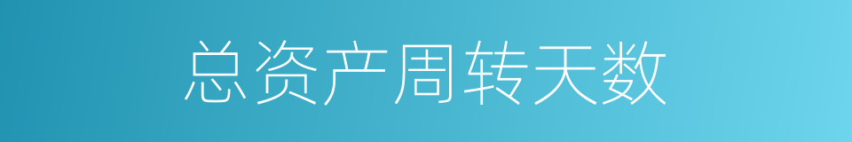 总资产周转天数的同义词