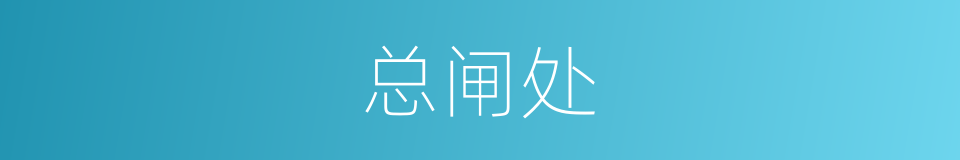 总闸处的同义词