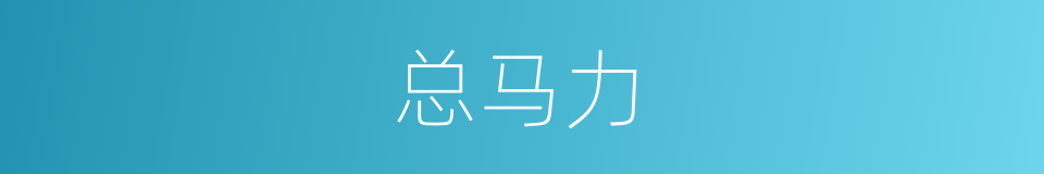 总马力的同义词