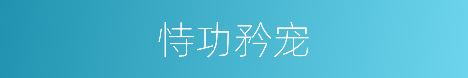 恃功矜宠的意思