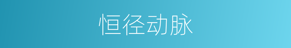 恒径动脉的同义词