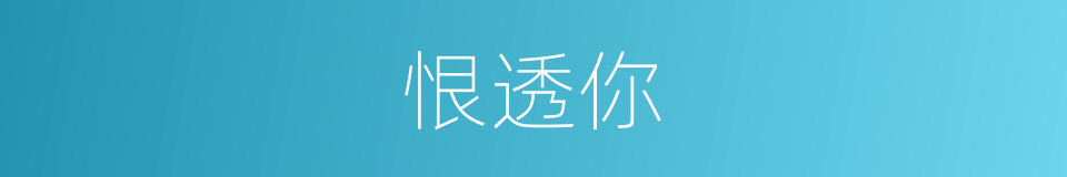 恨透你的同义词