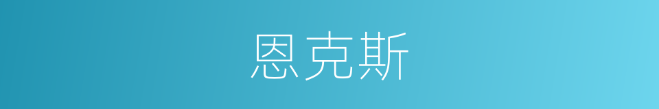 恩克斯的同义词
