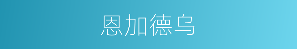 恩加德乌的同义词